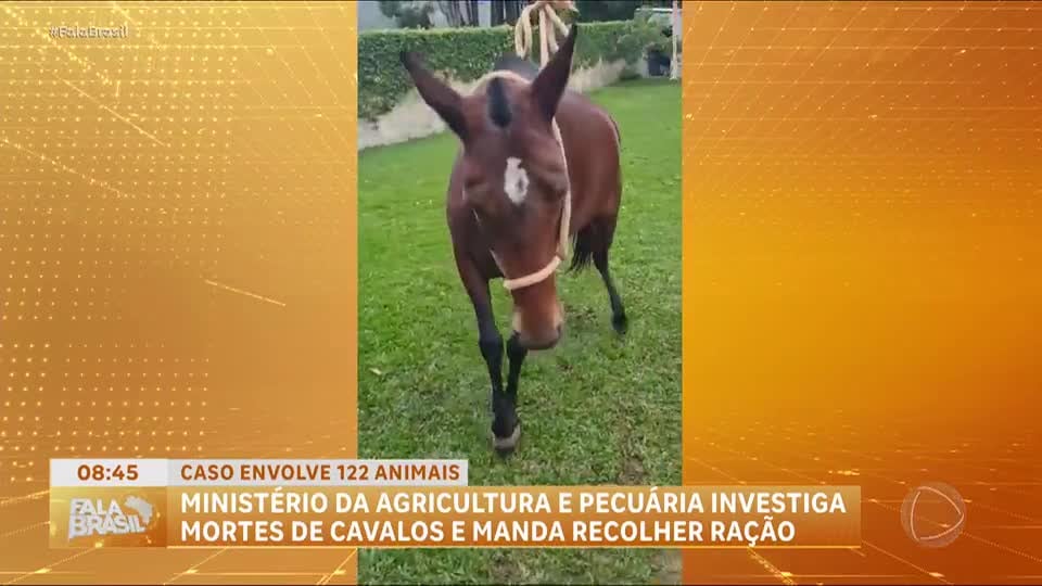 Ministério da Agricultura investiga se mortes de 122 cavalos têm relação com a ração Nutratta