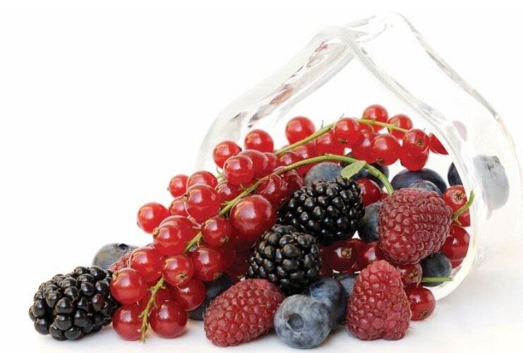As frutas em geral são fontes de minerais e vitaminas essenciais para o organismo. Elas ajudarão a deixar seu organismo mais equilibrado e muitas delas fortalecerão sua imunidade.