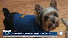 Governo lança RG para cães e gatos e anuncia ações de castração animal pelo país
