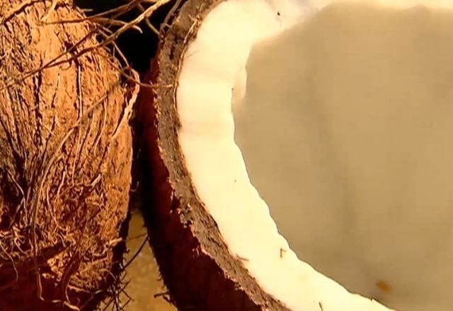 Acompanhe o quadro Mitos e Verdades no programa Domingo Espetacular, que vai ao ar todos os finais de semana, às 19h45, na Record TV
