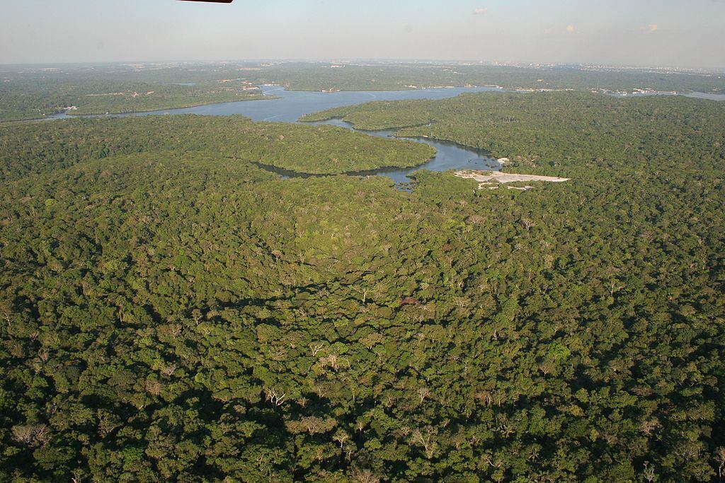 Amazônia perdeu 265.113 km² de vegetação entre 2000 e 2018