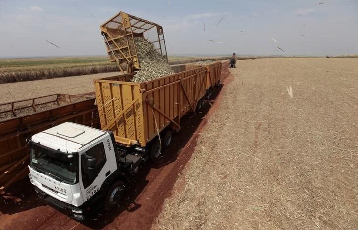 O setor agropecuário puxou alta do PIB