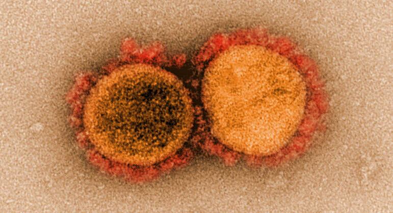 Vacina universal pode ajudar a prevenir futuros surtos de novos coronavírus