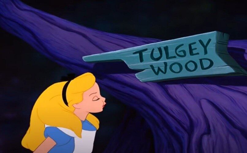 Cena importante número 11: Alice não consegue encontrar o caminho de volta e se perde na floresta. O gato de Cheshire reaparece e a aconselha a procurar a Rainha de Copas.