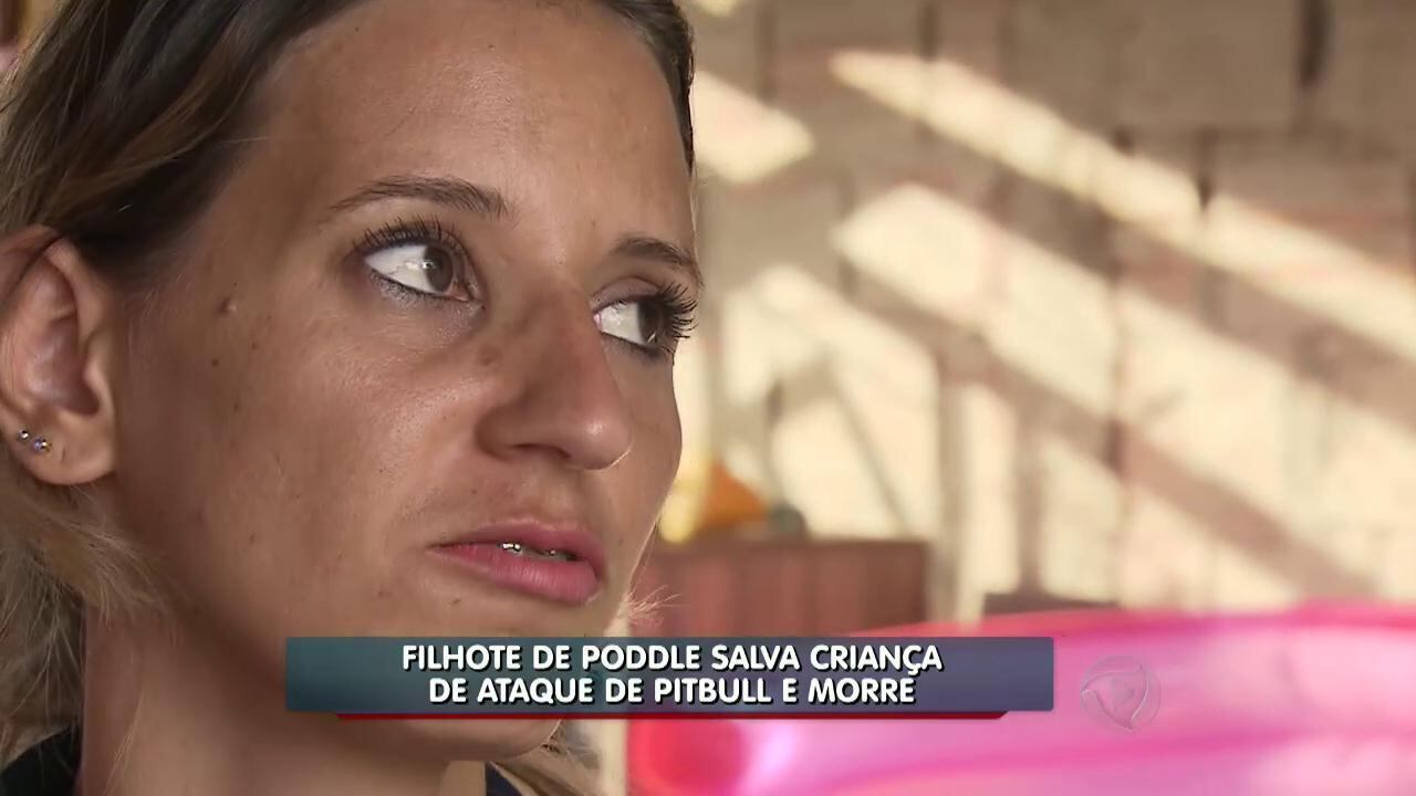 À mãe da criança, só resta ressaltar a bravura de sua cachorrinha. 

— Acho que ela foi um anjo que Deus mandou pra estar ali naquele momento

> Veja toda a programação da Record no R7 Play
