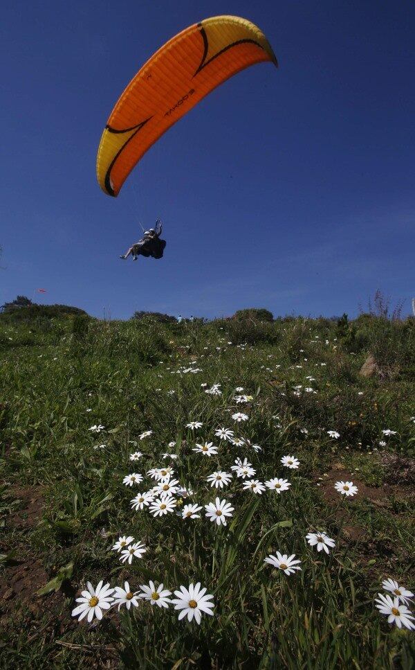 Paraquedista sobrevoa a icônica
Table Mountain, em Cape Town, na África do Sul, já coberta de flores com a
proximidade da primavera