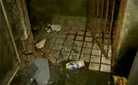 Cachorro era mantido nos fundos de uma casa