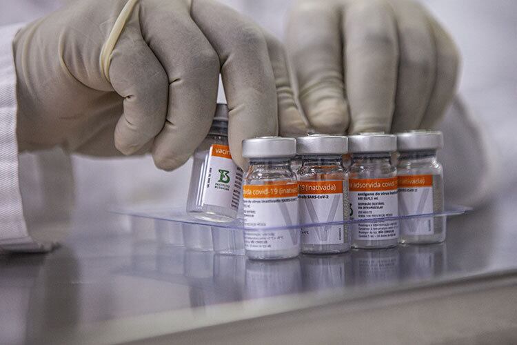 Butantan espera aval da Anvisa para aprovar uso pediátrico da CoronaVac