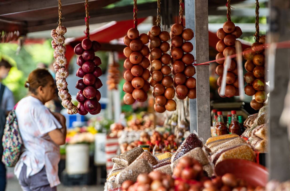 Cebola acumula alta de 22% nas três primeiras semanas de maio