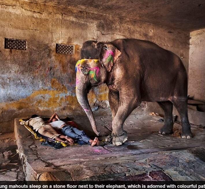 Em entrevista ao Daily Mail, McCurry estima ter mais de 15 mil fotos em seu arquivo de imagens do país
