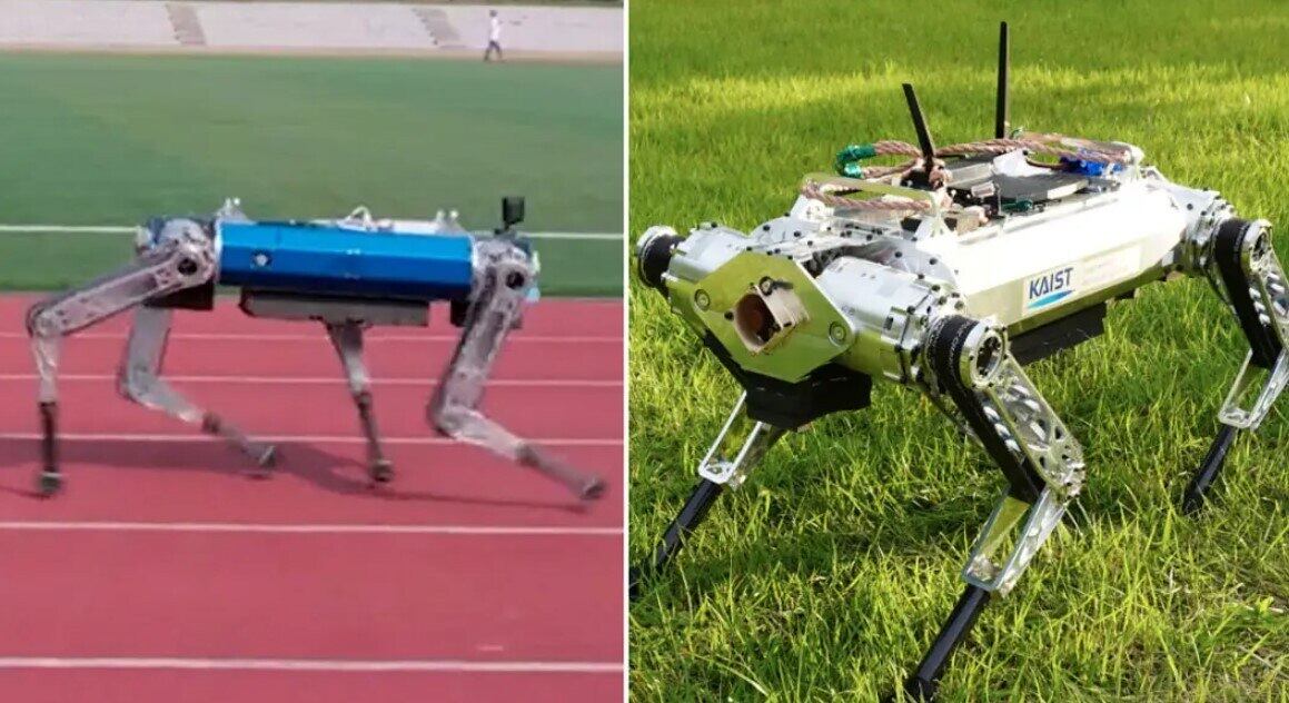 Robô quadrúpede bateu recorde mundial de velocidade
