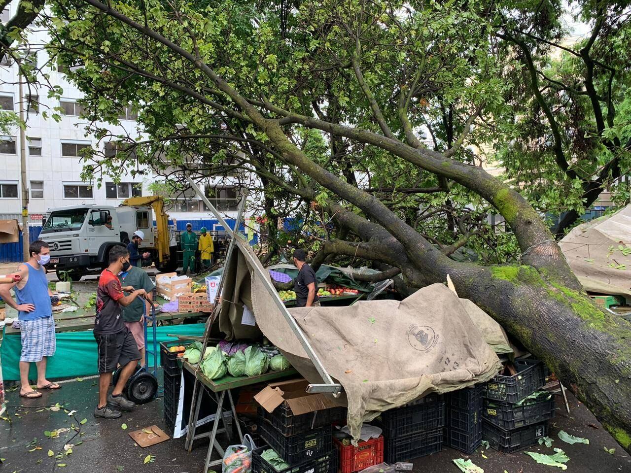 Feira é conhecida pela venda de produtos naturais, legumes e frutas.