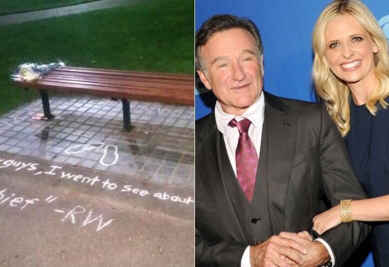 Robin Williams e Sarah Michelle Gellar contracenaram juntos