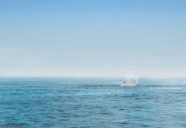 "Então, Eu disse: haja luz". Foi assim que Deus começou a criar a Terra após um longo período de escuridão. Em Sua Criação, havia água e terra, dia e noite, plantas e animais