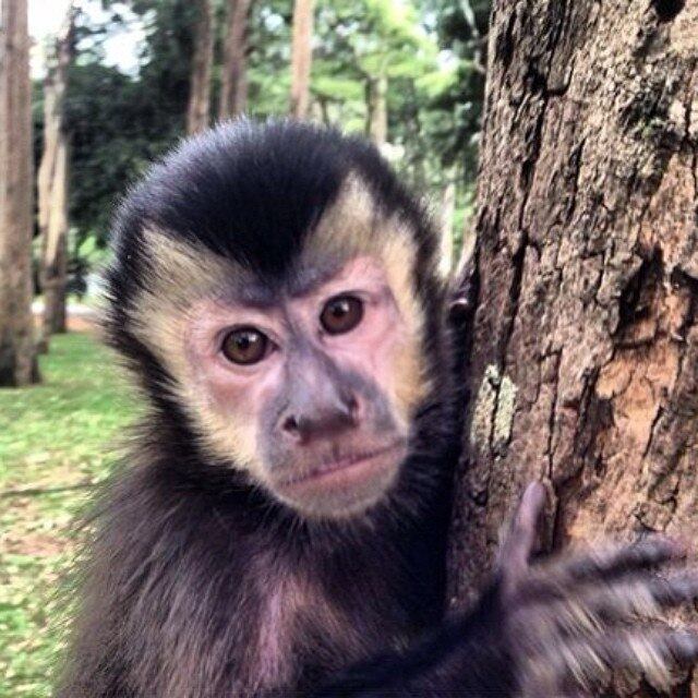 Fica bonito até bravo
Own...

+ Veja os melhores cliques de Mionzinho se divertindo nos bastidores do Legendários
+ Juju Salimeni posar sem maquiagem e mostra que é linda de qualquer jeito
+ Não é só frango e batata-doce! Descubra o que Marcos Mion come quando sai da dieta
+ Antes da dieta e da musculação... Poses e carões marcam infância e adolescência de Juju Salimeni
