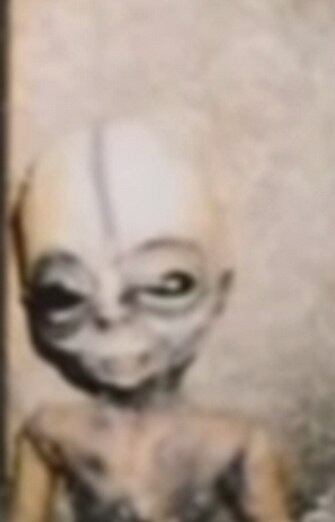 Veja mais de perto da criatura, que teria, de acordo com Boyd, 1,50 m de altura. Ele diz que os alienígenas ainda atuam com o governo dos EUA na Área 51, também conhecida, só pra lembrar, como local de testes militares.

Cientista que trabalhou em local secreto faz revelações sobre aliens e mostra fotos de ETs

