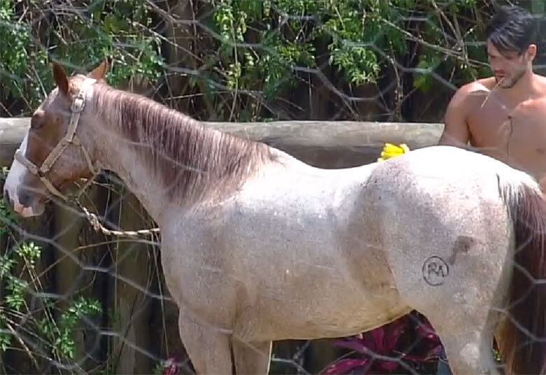 Marcelo também se deu muito bem com
as tarefas e com os animais, demonstrando muito carinho, não apenas na
atividade em si, mas até conversando e acarinhando os bichos durante seu
período confinado

+ "Eu prefiro esquecer a Mara como jogadora", diz Douglas sobre ex-peoa de A Fazenda
+ Peões relembram trajetória de Amaral no reality e Rayanne afirma: "Ele é um cara muito iluminado"
+ Em atividade, Minerato fala sobre Thiago Servo: "Por mais que eu queira ele não vai sair da minha vida"

