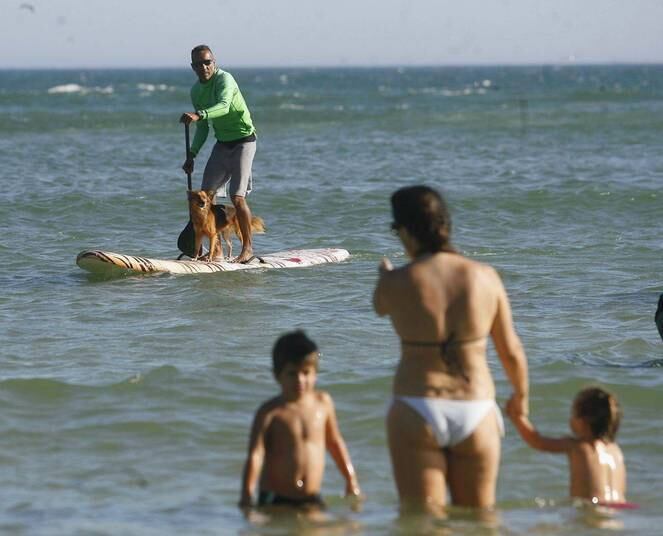 A criançada se diverte com as aventuras dos cachorros surfistas
