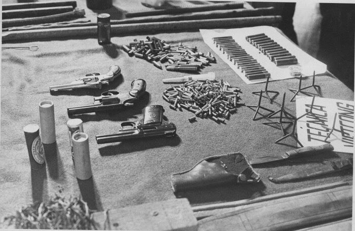 Jimmy Carter, faz uma política de desarmamento do país