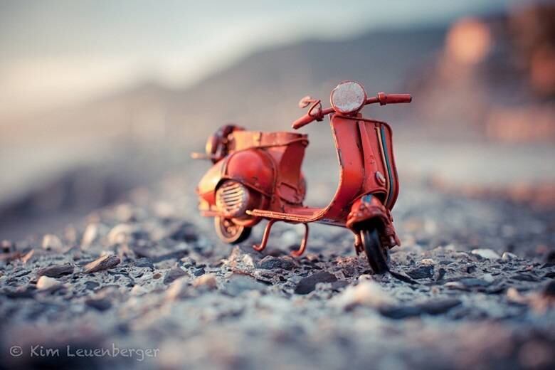 Traveling Cars Adventures, por Kim Leuenberger
