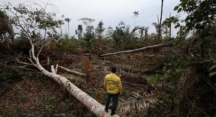 Publicação libera a contratação de 739 profissionais