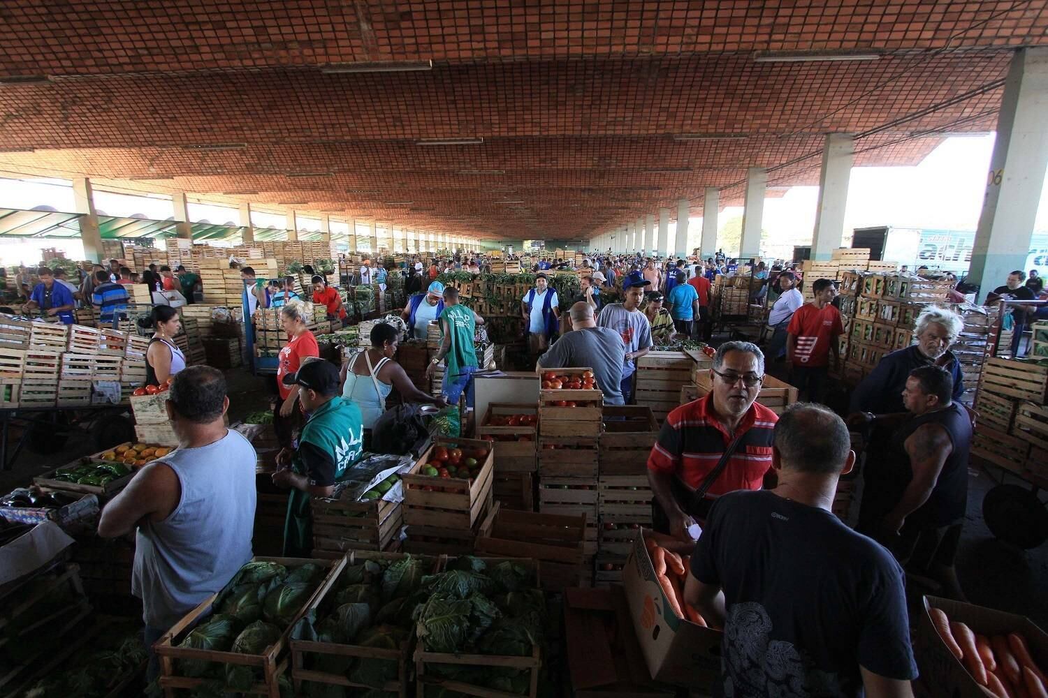 Nesse fim de semana, a previsão dos produtores é que a oferta dos produtos volte aos patamares anteriores à greve dos caminhoneiros