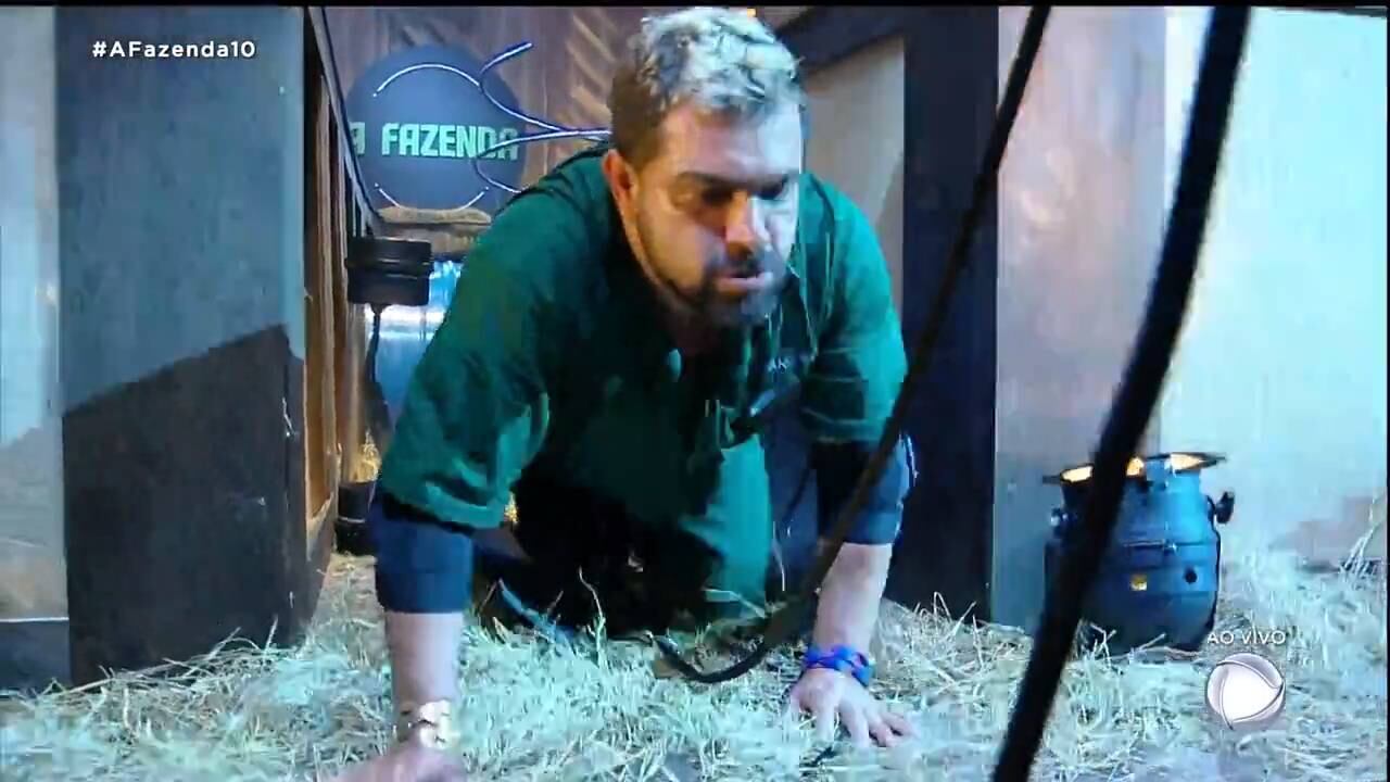 a fazenda 10