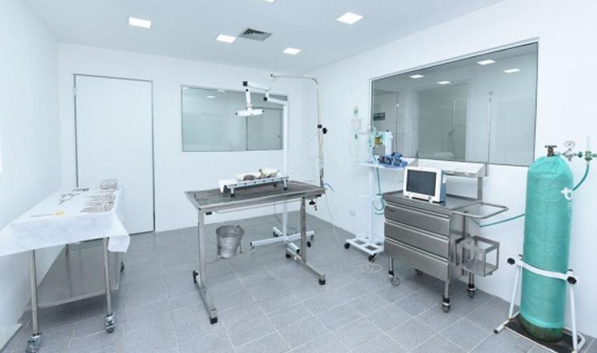 Hospital veterinário da zona norte muda de endereço a partir desta segunda-feira (16)