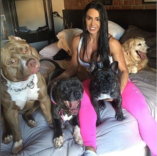 Por fazer tanto sucesso nas redes sociais, os oito cães de Gracyanne Barbosa acabaram ganhando um perfil no Instagram. No dogsdagra, é possível conhecê-los um a um e acompanhar um pouco da rotina deles