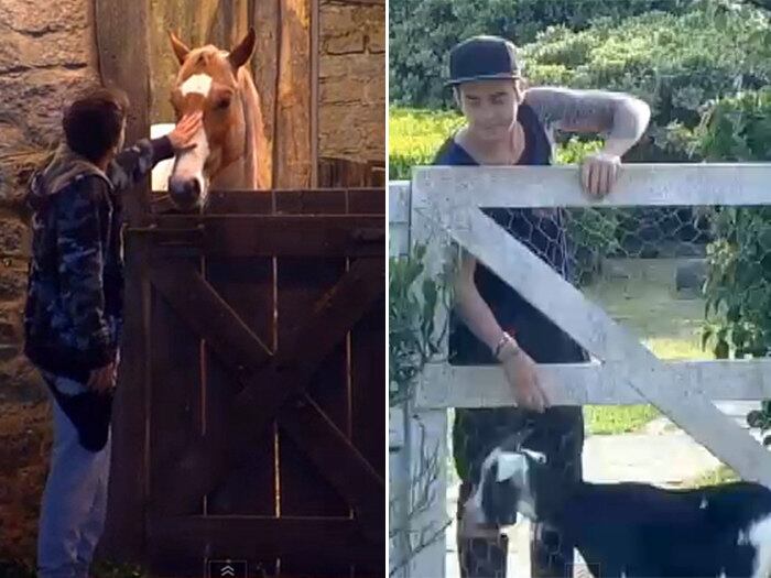 O músico também demonstrou muito carinho com os animais. Chamava a cabra
pretinha de “meu amor” e a égua Lena de “minha namorada”
+ Assista ao momento: Com 44,38% dos votos, DH é o grande vencedor da sétima temporada da Fazenda
+ Relembre alguns dos banhos sensuais que marcaram a Fazenda 7
+ Reveja as maiores amizades criadas entre os peões em A Fazenda 7
+ Reveja as maiores brigas e barracos da sétima edição do reality
+ Reveja os peões que mostraram mais do que queriam no reality
+ Reveja os peões mais polêmicos de A Fazenda 7