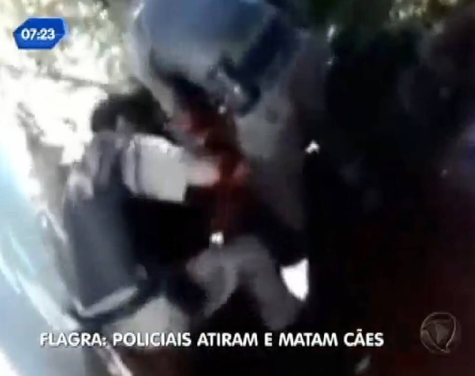 Cachorros foram mortos por policiais durante abordagem
