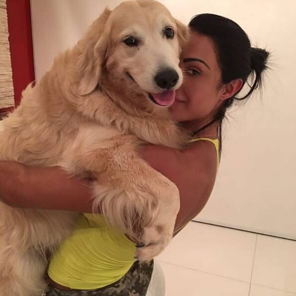 Uma fêmea da raça golden retriever é também uma das paixões de Gracyanne