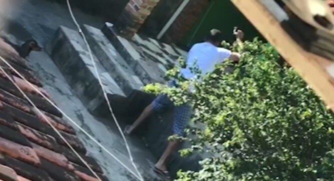 Outro cão acompanhou a sessão de espancamento