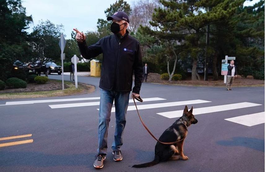 O cãozinho também costuma passear com o presidente dos EUA em suas visitas ao estado onde mora nas horas vagas, Delaware