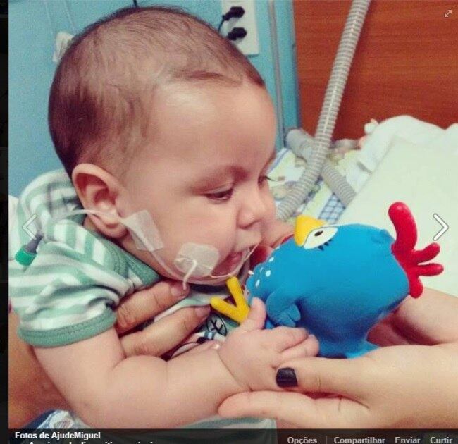 A mãe afirma que, no
Brasil, o tratamento é apenas paliativo e não resolve a situação. Segundo Laís,
é possível fazer uma traqueostomia, procedimento que facilita a respiração, sem
depender dos músculos da garganta, e, além disso, pode ser realizada uma gastrectomia,
para que Miguel não dependa de engolir para ingerir alimentos. Com essa segunda
cirurgia, o menino teria os alimentos direto no sistema digestivo