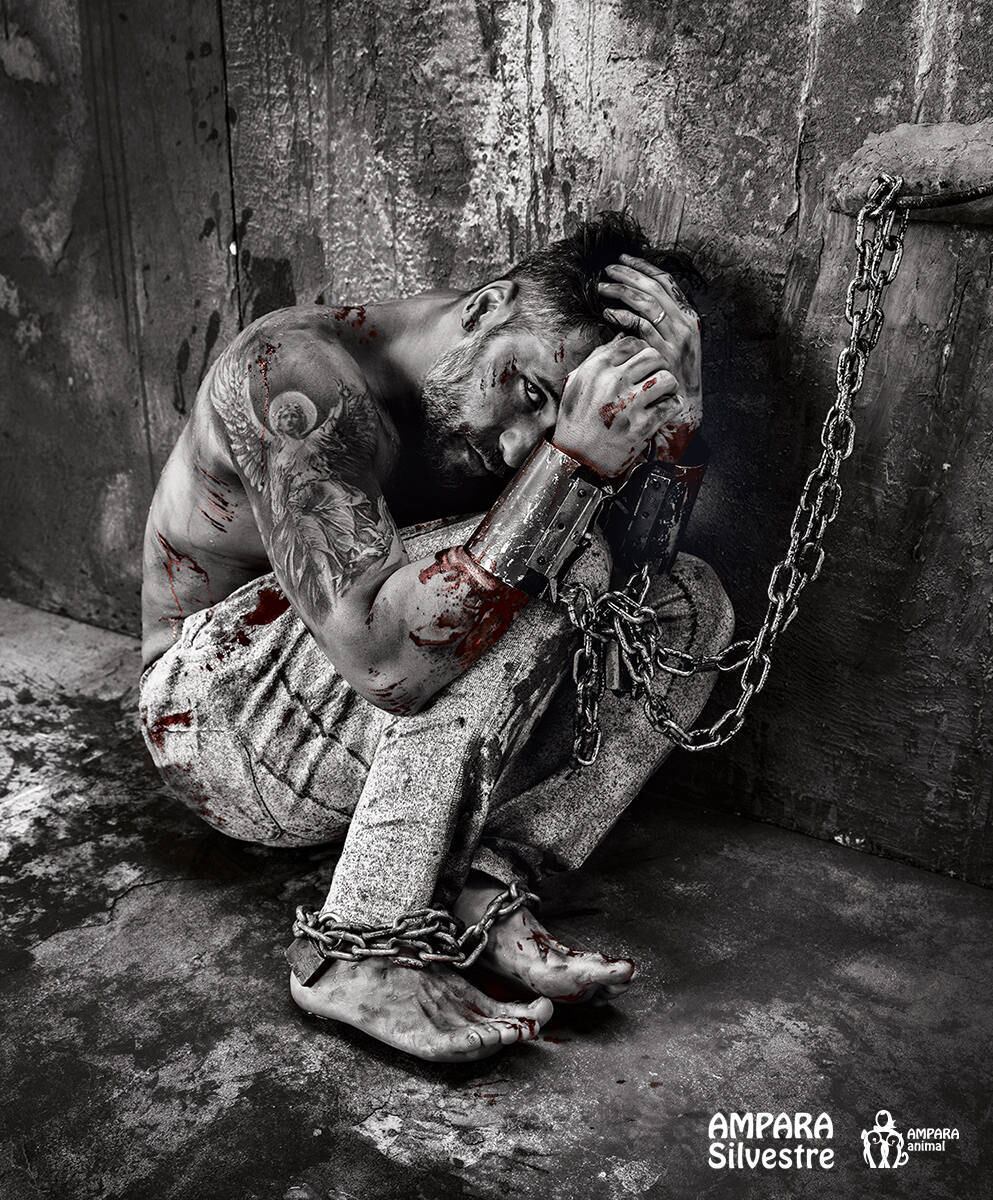 Animais acorrentados, por Bruno Gagaliasso