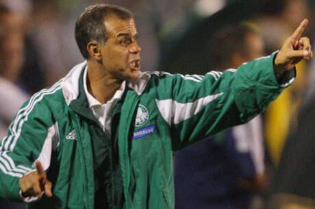 No Campeonato Brasileiro de 2009, Jorginho assumiu o Palmeiras por algumas rodadas após a saída de Luxemburgo. Mesmo tendo um ótimo desempenho, o interino deu lugar à Muricy Ramalho após alguns jogos