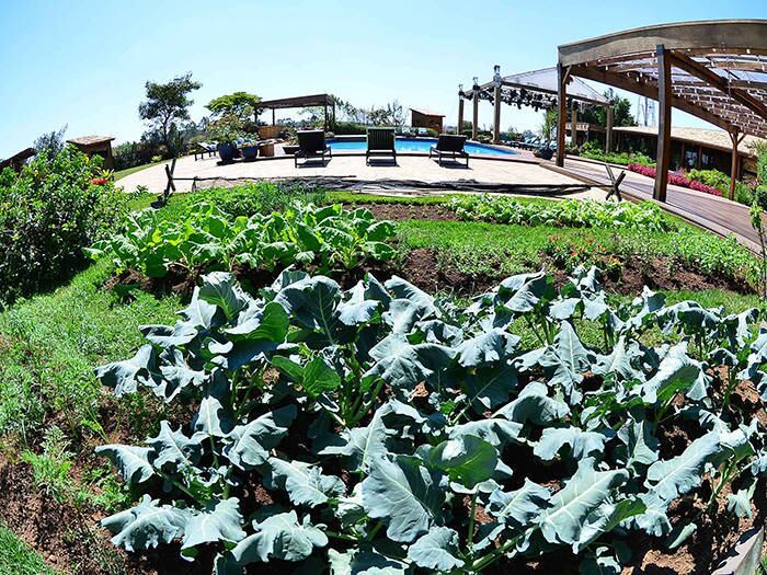 Coisa boa é poder colher uma verdura bem fresquinha! Os peões poderão ter uma alimentação saudável, com horta cuidada por eles mesmos