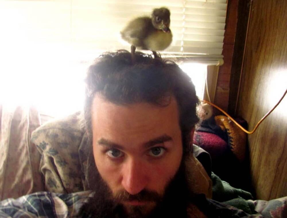 Sem qualquer outro animal por perto, Peeps entendeu que Brian era sua "mãe"