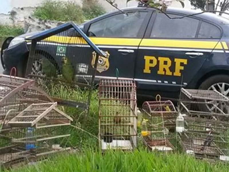 Flagrante ocorreu no município de Candeias