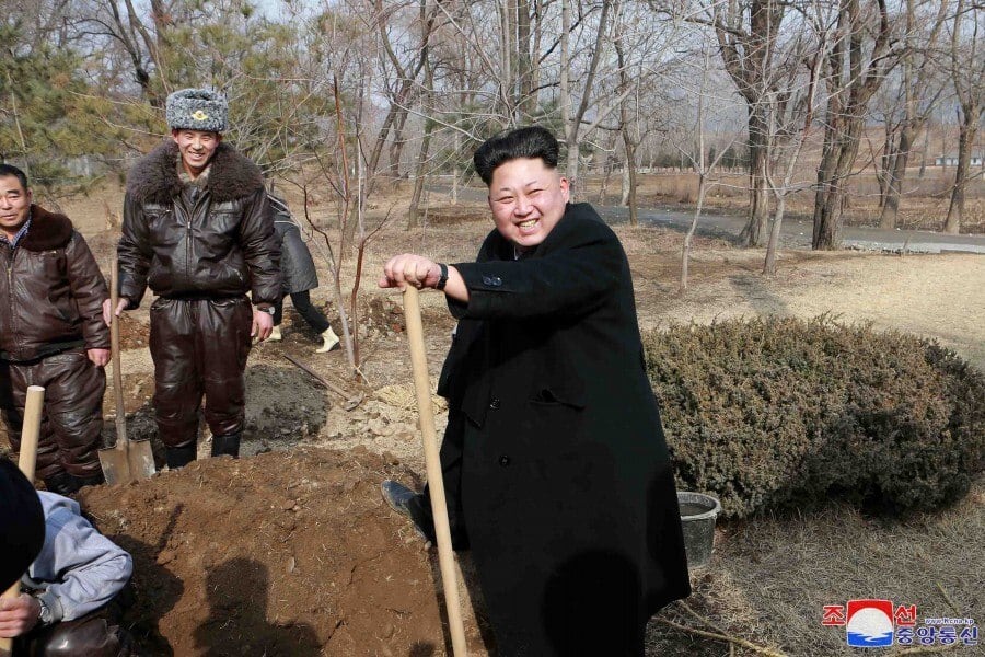 A Coreia do Norte ameaçou o mundo novamente nesta terça-feira (14) com o disparo de mais dois mísseis balísticos de curto alcance sobre o mar do Japão. Enquanto isso, no território norte-coreano, a população é estimulada pelo próprio governo a plantar árvores como forma de devoção patriótica. Entenda melhor nas próximas fotos, cujas datas não foram divulgadas
