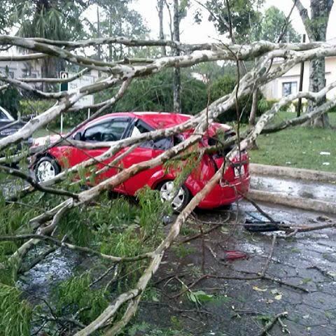 Carro de servidora foi atingido por árvore