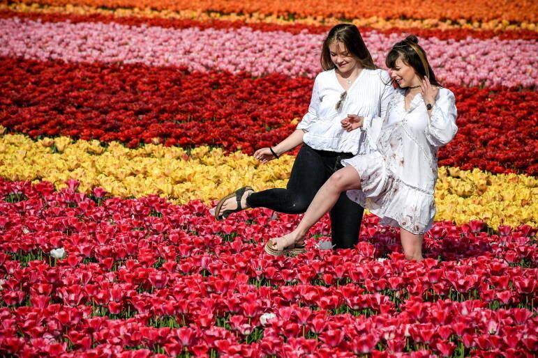 A síndrome das pernas inquietas é mais frequente em mulheres, na proporção de 2 para 1 em relação aos homens. Na infância e adolescência não tem diferença entre meninos e meninas, mas na juventude começa a ser mais comum nas mulheres.
“O curso dessa doença é flutuante, com fases de sintomas são mais leves e outras mais intensos, que pioram a qualidade de vida. Geralmente afeta as extremidades inferiores, geralmente as panturrilhas e tornozelos. Em alguns casos o desconforto pode ser intenso e até se manifestar durante o dia. É comum alguns pacientes confundirem com desconforto devido à má circulação e, em alguns casos, implica em mau descanso, com insônia ou sonolência durante o dia”, comenta Ana Fernández
