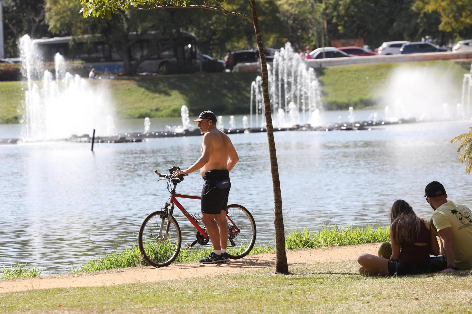 Um
dos símbolos de São Paulo, o Parque do Ibirapuera é considerado um dos maiores circuitos culturais do
mundo, com museus, planetário e o auditório Oscar Niemeyer, patrimônios tombados pelo Iphan (Instituto Patrimônio Histórico e Artístico Nacional). O espaço tem 1.584.000m² de área verde e mais de 300 espécies de animais. O
parque fica próximo à estação AACD-Servidor da linha 5-Lilás do Metrô
