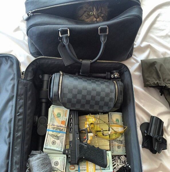 De vez em quando aparece umas fofuras em suas fotos, como a deste gatinho

Em desafio, campeão de pôquer mostra que habilidade é mais importante que sorte