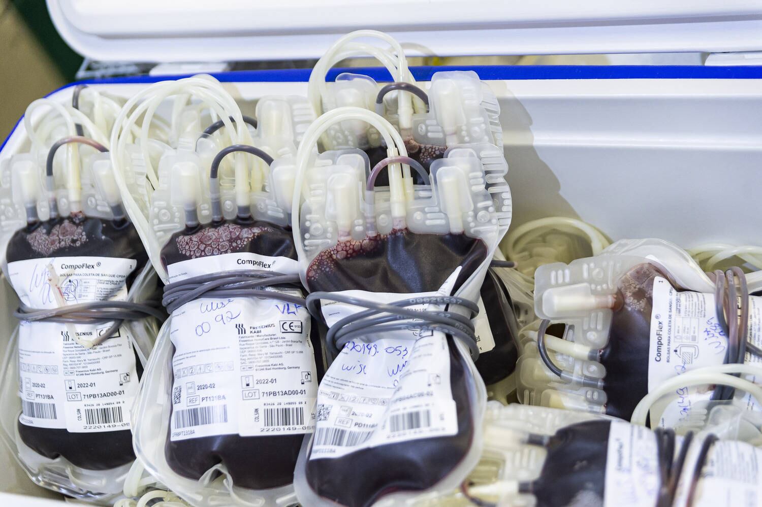 Com estoque crítico, hemocentro em SP precisa de doações de sangue