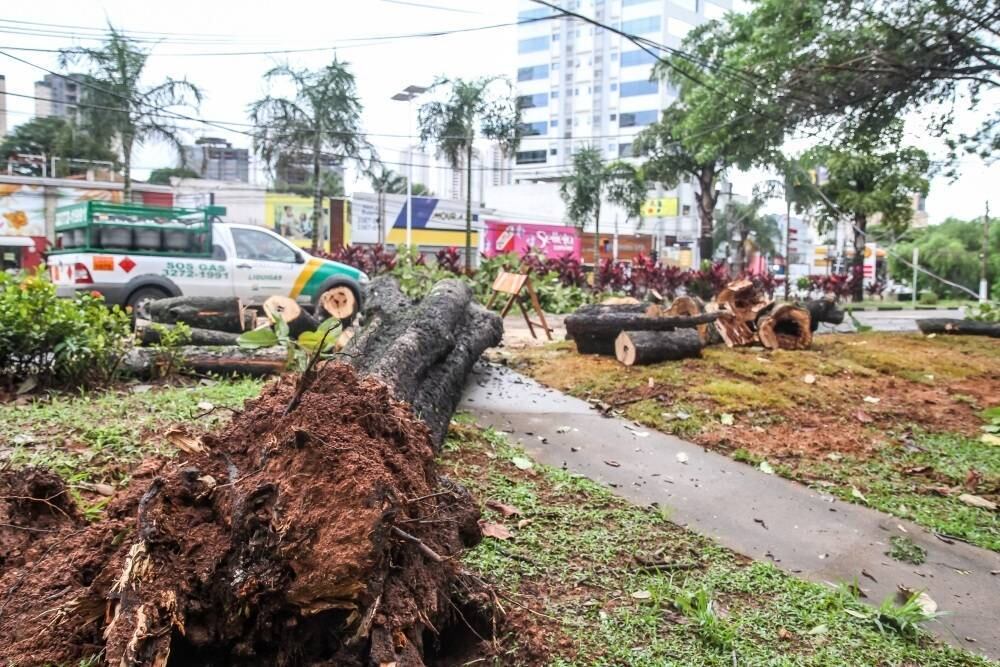 "Considerando que este evento aconteceu no fim de
semana, quando a demanda de energia elétrica é inferior a de um dia normal de
trabalho, o ONS está hoje estudando quais medidas operativas adicionais serão
necessárias a partir de segunda-feira (6), de forma a garantir as condições de
segurança e confiabilidade no suprimento da região de Campinas e da cidade de
São Paulo, até que sejam restabelecidos os equipamentos afetados",
informou o operador em nota. As medidas serão informadas ainda neste domingo

Experimente: todos os programas da Record na íntegra no R7 Play


