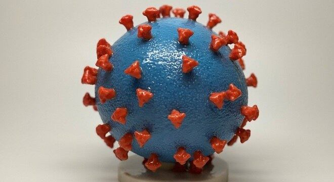 Novo coronavírus é responsável por provocar a doença covid-19