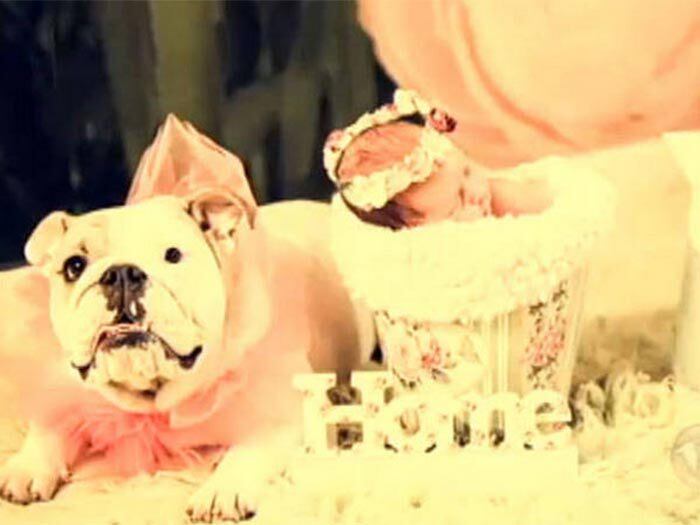 Luiza, com apenas 16 dias de
vida, já tem uma grande guardiã: a bulldog Amarula 


+ Nova moda inclui bichos de
estimação em ensaio fotográfico de recém-nascidos