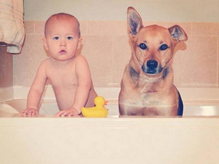 Já deu para perceber que,
Toby e Carter se tornaram amigos inseparáveis, não é? 


+ Amizade entre bebê e
cãozinho faz sucesso internet